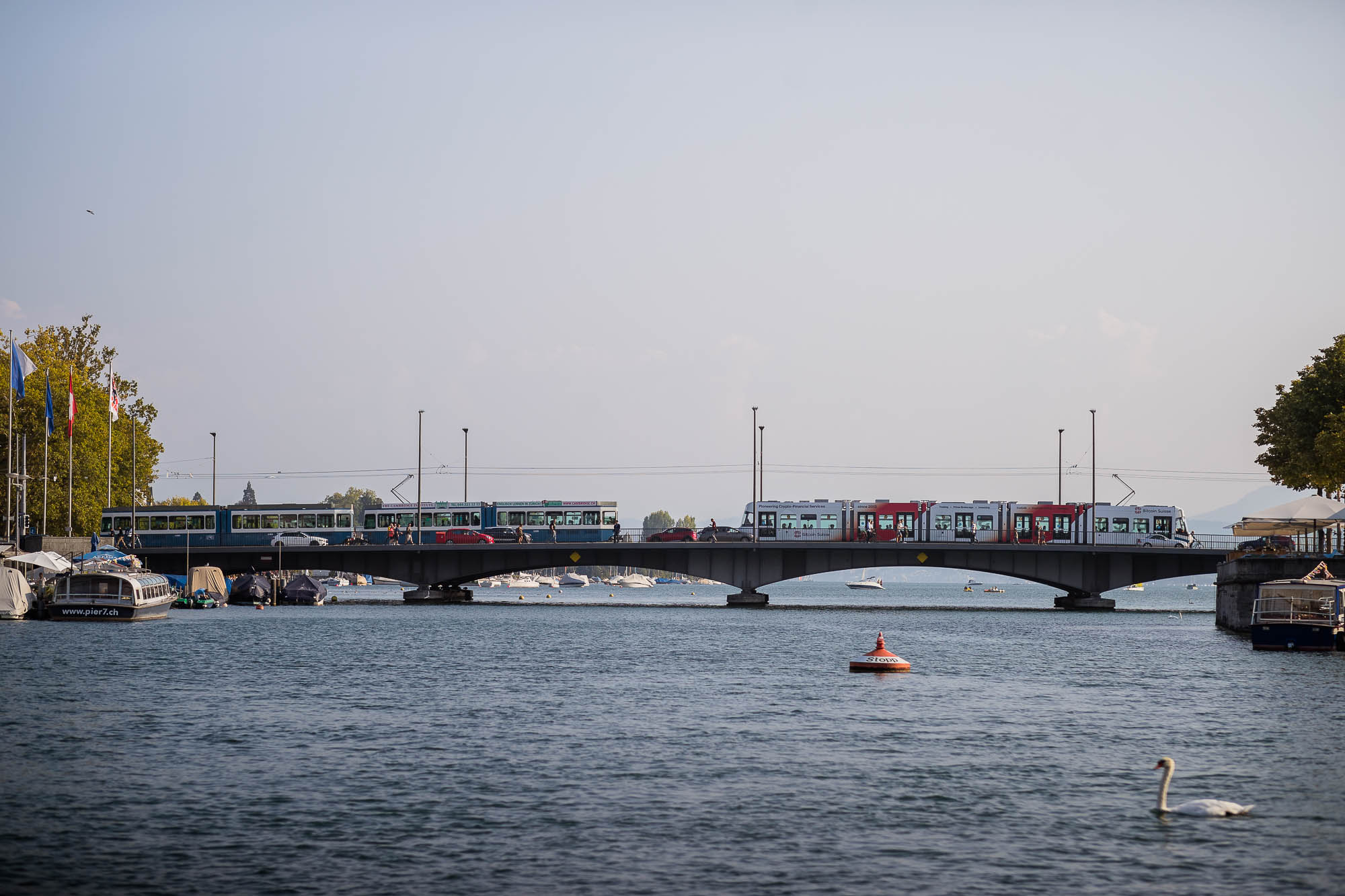 Export x3 1DX25058 Hochzeit 2020 Chantale & Jürg